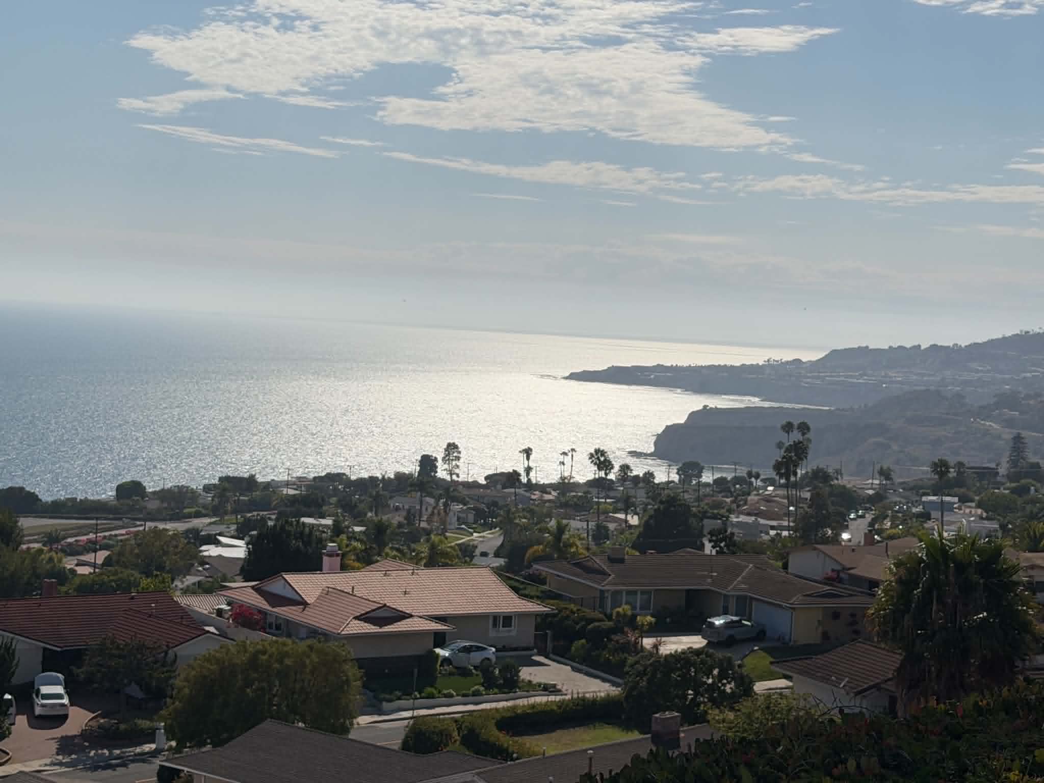 Backyard View